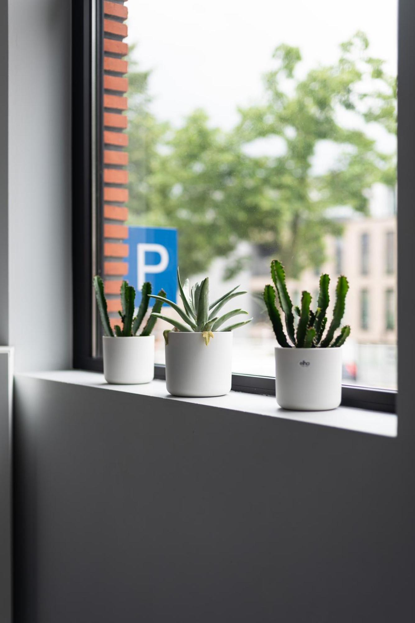 New! Design Herenhuis In Het Centrum Van Tongeren Dış mekan fotoğraf